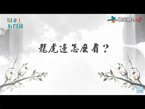 龍邊帶路|論陽宅龍虎形勢